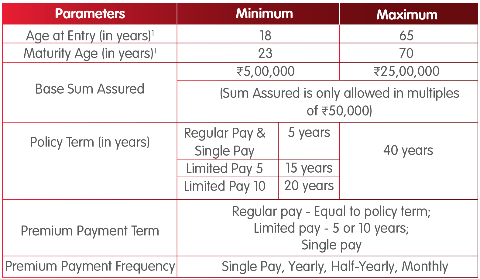 INL Saral Jeevan Bima term insurance plan eligibility criteria
